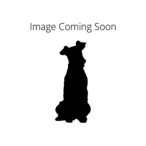 Pet City Houston Ori Pei